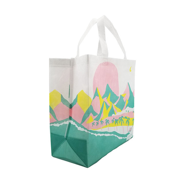 Sacchetto da shopping non tessuto Sacchetto da spesa con materiale ecologico e colore personalizzato